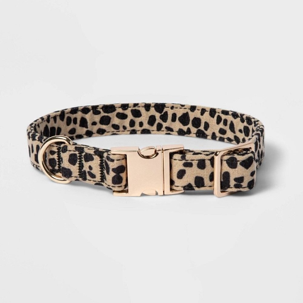 Animal Print with Buckle Branding Dog Collar | Boots & Barkley | Medium - Picture 10 of 10